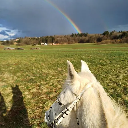 Granny Angela's House Vakantiehuis