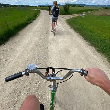 Granny Angela's House