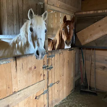 Vakantiehuis Granny Angela's House *