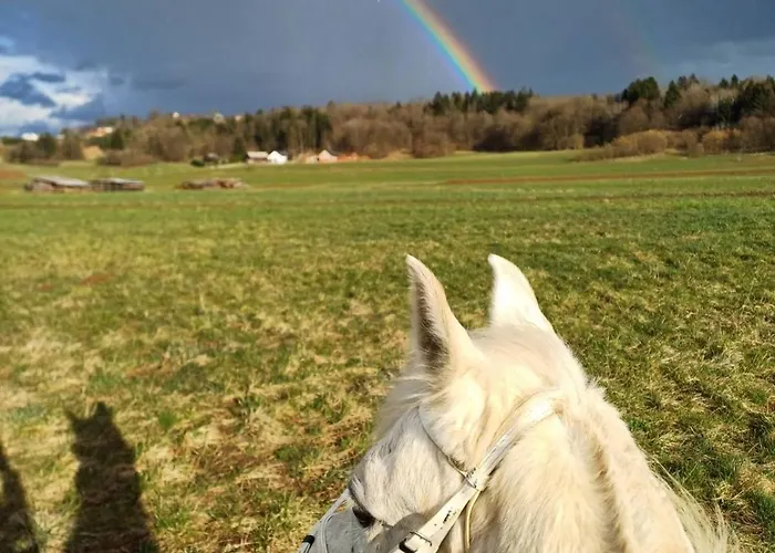 Granny Angela's House Dom wakacyjny