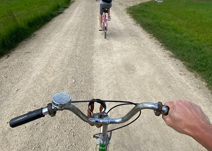 Granny Angela's House