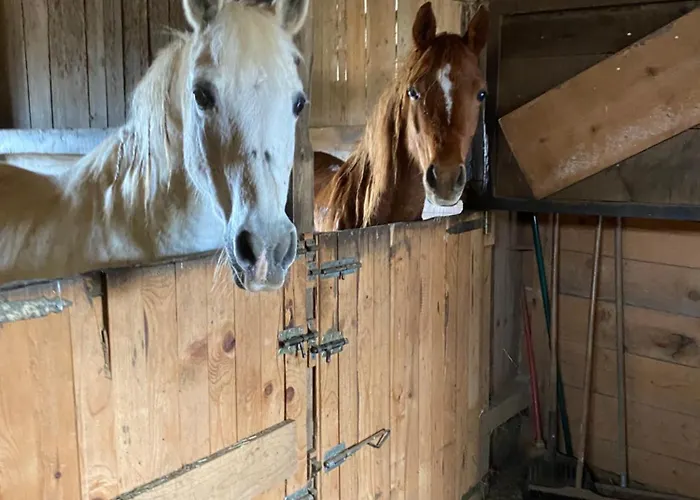 בית נופש Granny Angela's House *